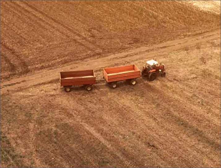 Agriculture and Aquaculture